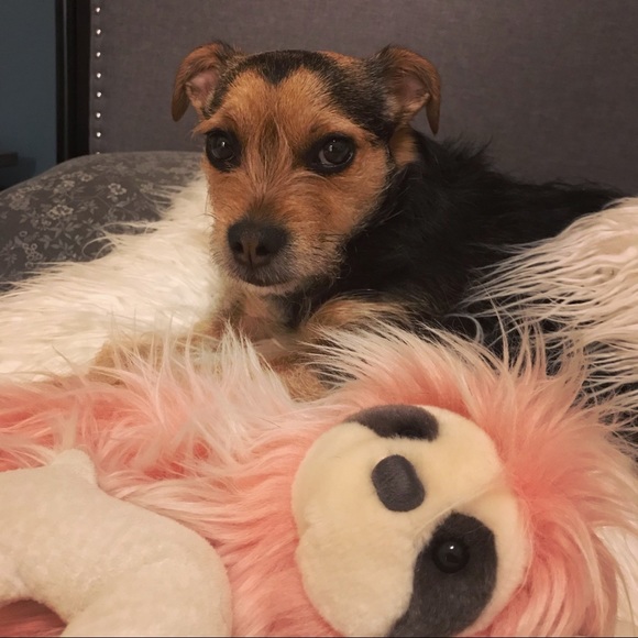 Meet the Posher - Picture 5 of 5